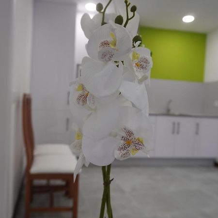 Apartamento Sanin 3 Lumbrales Екстериор снимка