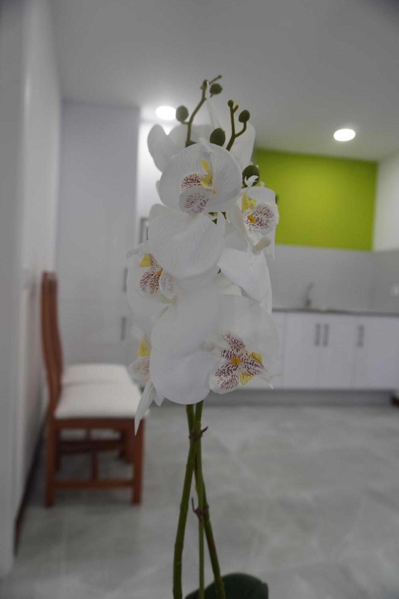 Apartamento Sanin 3 Lumbrales Екстериор снимка